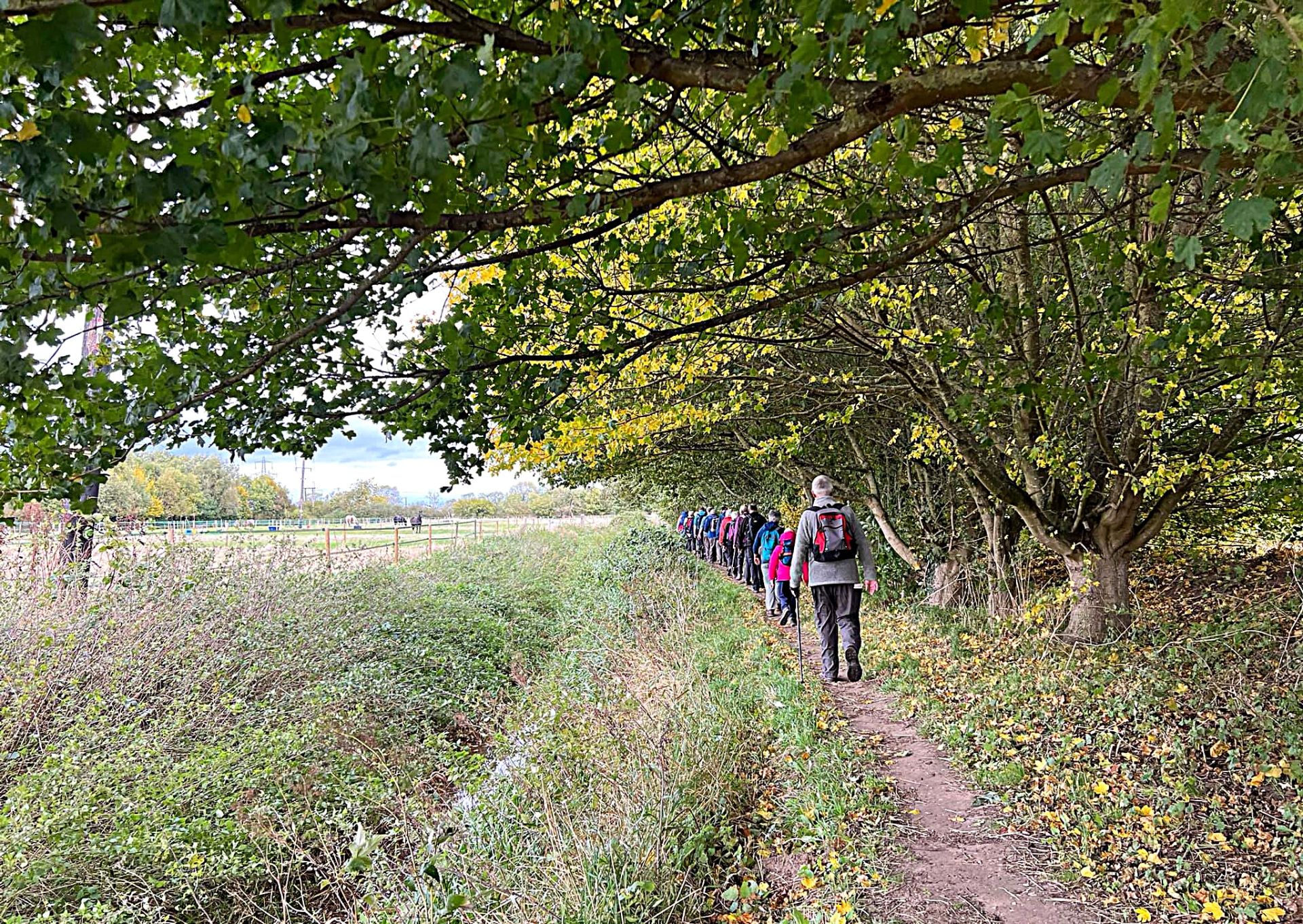 A Collingham foitpath